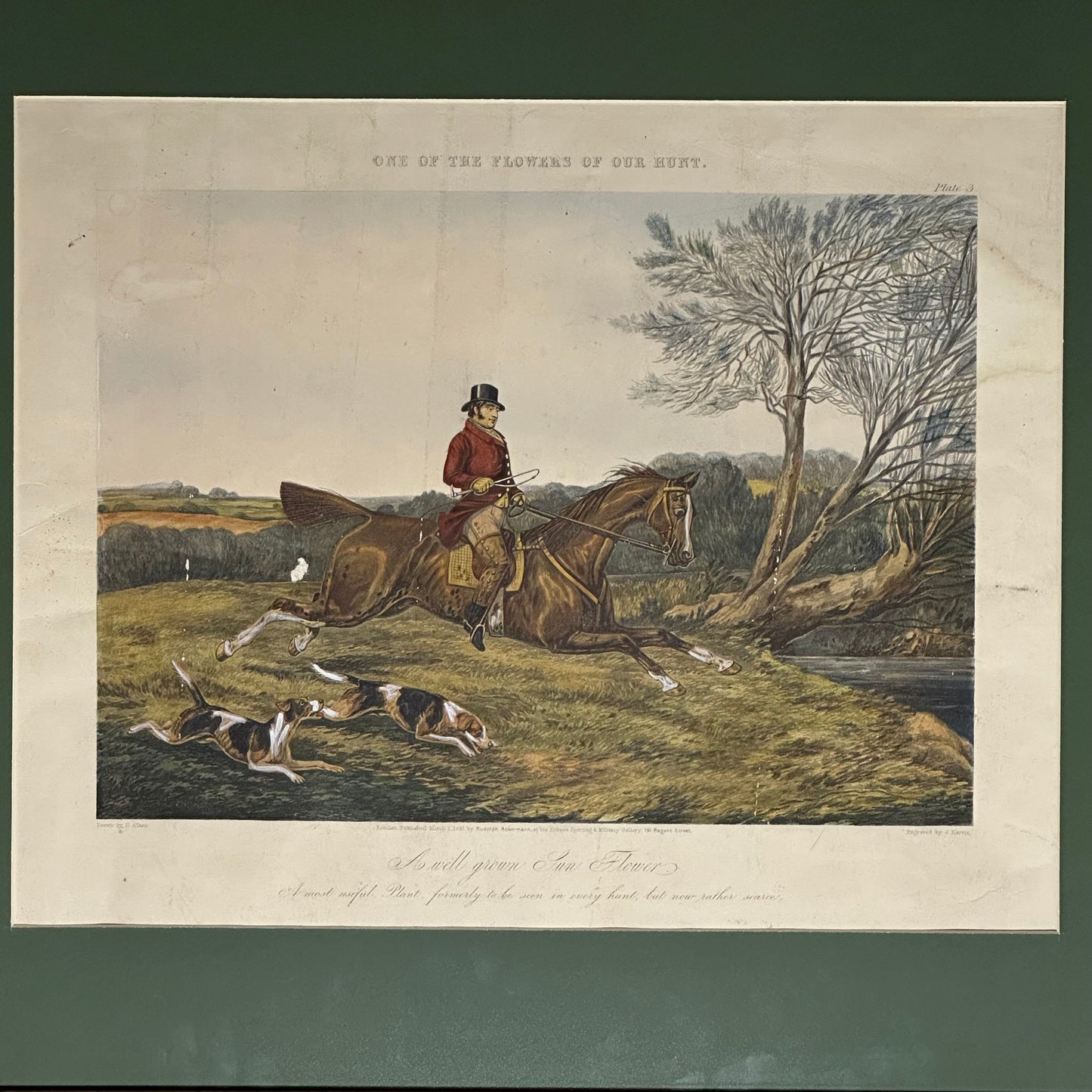 SÜREK AVI - RUDOLF ACKERMANN - 19 YY.