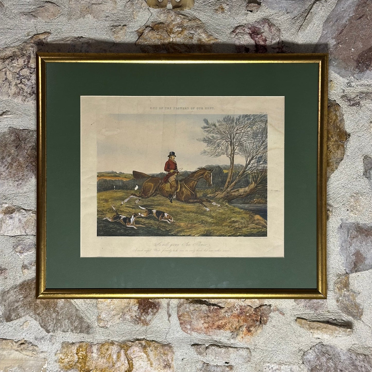 SÜREK AVI - RUDOLF ACKERMANN - 19 YY.