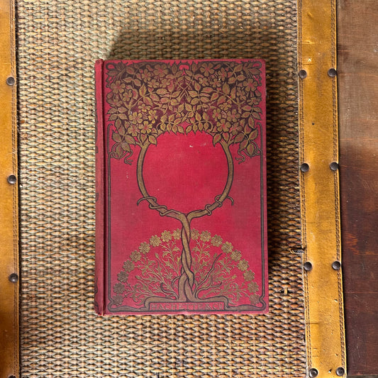 DAVID COPPERFIELD - CHARLES DICKENS - FRENCH EDITION - 1907